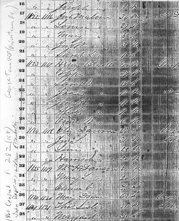 1860 Census George Twp