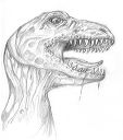 t_rex_head_5_pencil