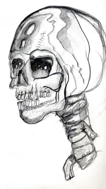 skull_scan_summer05.jpg