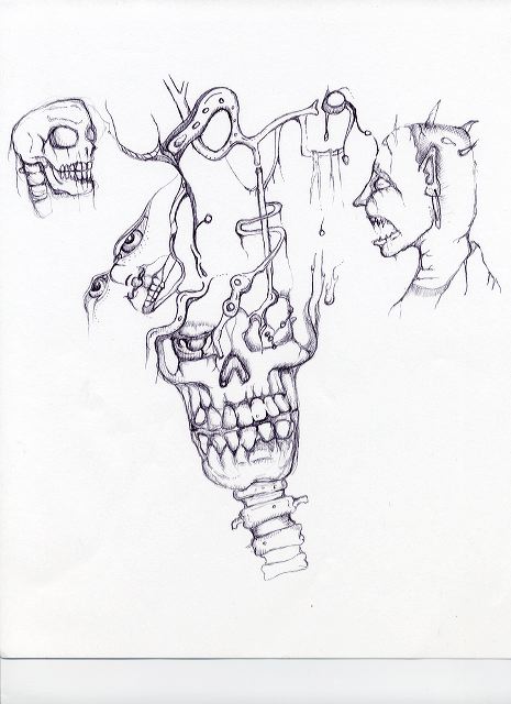 skull_sketch.jpg