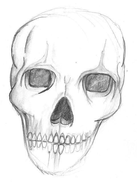 skull_sketch_soft.jpg