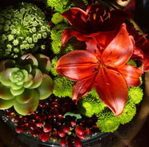 reds greens