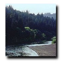 The Russian River