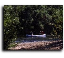 Canoes on the River