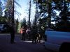 WCRC_Tree_Run_120608A.JPG