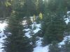 th_IMG00555.jpg