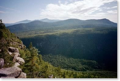 Zealand Notch