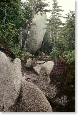 sOn the trail up Katahdin