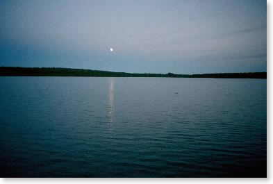 Moonrise over pond