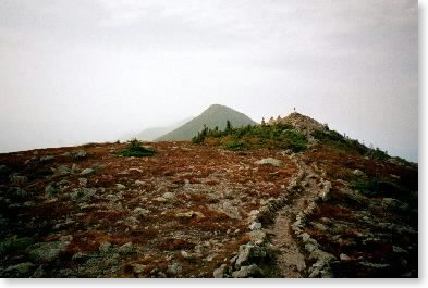 Near summit of Avery Peak