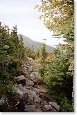 typical rough Maine trail