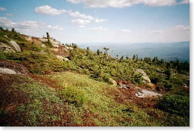 Above treeline on Saddleback