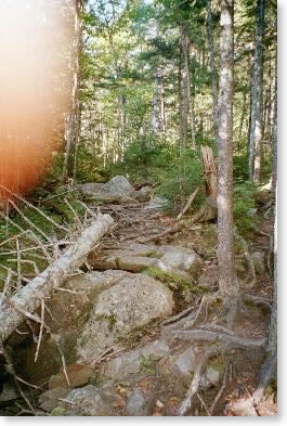 Godawful trail after coming down Saddleback