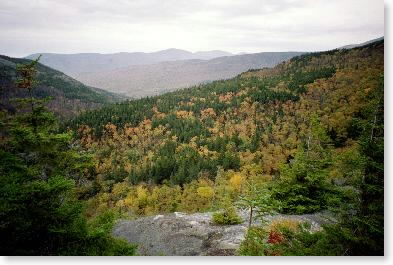 Foliage from Mt. Moriah