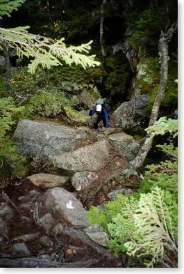 Snowbird in Mahoosuc Notch