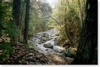 South Jacobs Brook