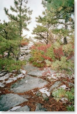 Snow on rocks near Pine Cobble Trail cutoff