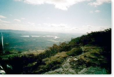 View from Mt. Race