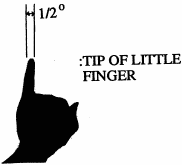 [Little Finger Tip]