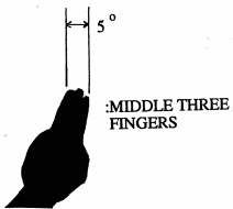 [Three Fingers]