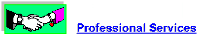 prof. services icon