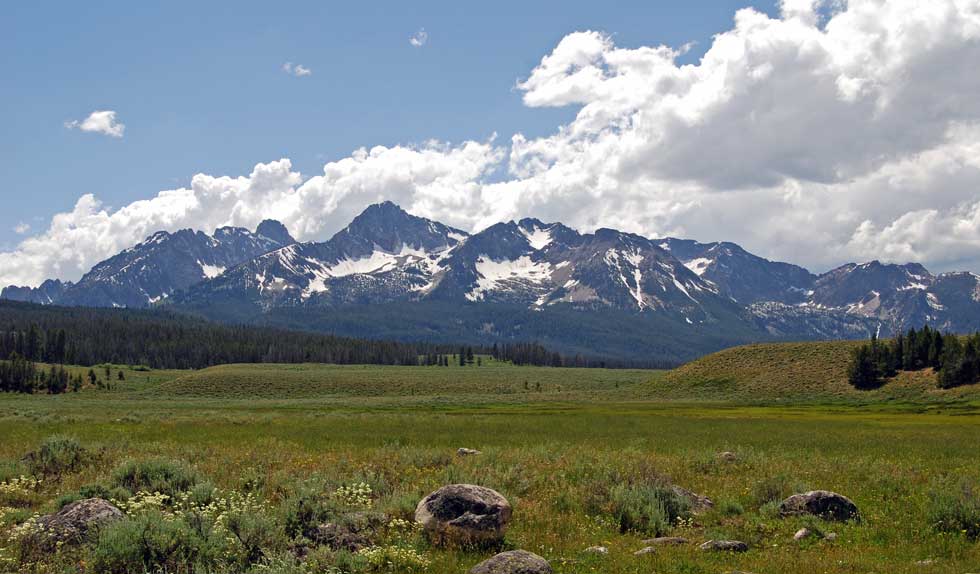 Sawtooths from meadow south of Stanley