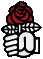 Red rose of socialism