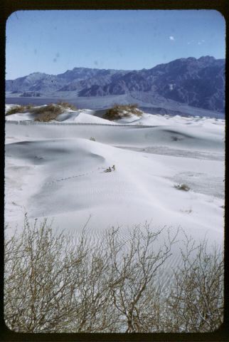 Death Valley 1953 N017.jpg