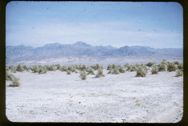 Death Valley 1953 N019.jpg