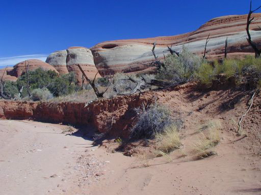 Petrified Dunes