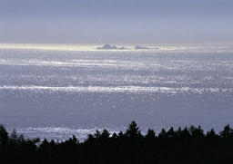 View of Farallon Islands