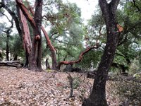 2023-07b.02 Lake Sonoma Hike