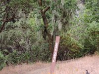 2023-07b.09 Lake Sonoma Hike