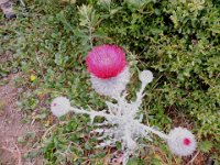 DSCN9321
