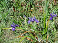 DSCN9194