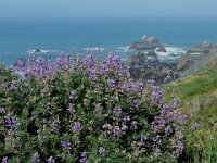 DSCN9379