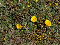 DSCN9388