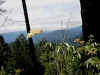 DSCN9708