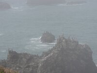 DSCN9163