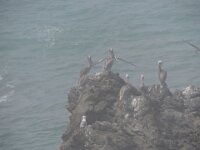 DSCN9165