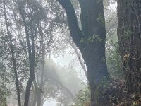 DSCN9181c