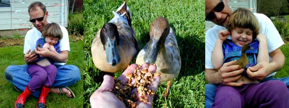 Baby Duckies