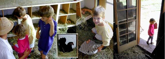 Alanna, Erik and Nick collect eggs