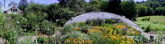 Greenhouse and gardens