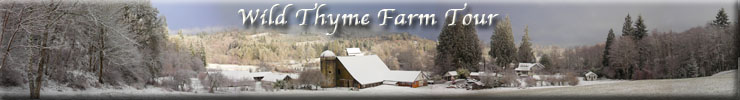 Wild Thyme Farm Activities