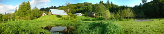 Pasture Pond