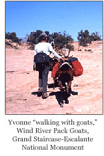 Yvonne Horn, Travel Writer,