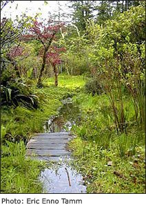 Gardens, Gardening in the Wilderness