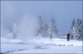 Yellowstone Mild Adventure
